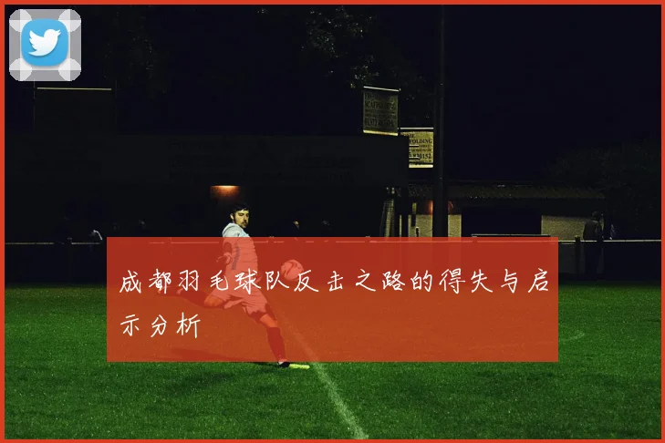 成都羽毛球队反击之路的得失与启示分析